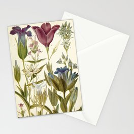 Wildflowers from "Rocky Mountain Flowers" (1914) by Edith Clements (benefitting The Nature Conservancy) Stationery Card