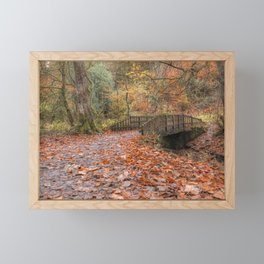 Autumn Colours at Sunnyhurst Wood, Lancashire Framed Mini Art Print