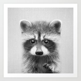 Raccoon - Black & White Art Print