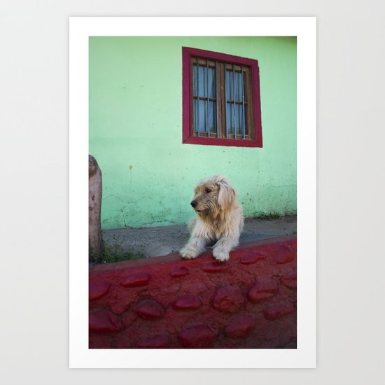 White Dog, Blue House Art Print