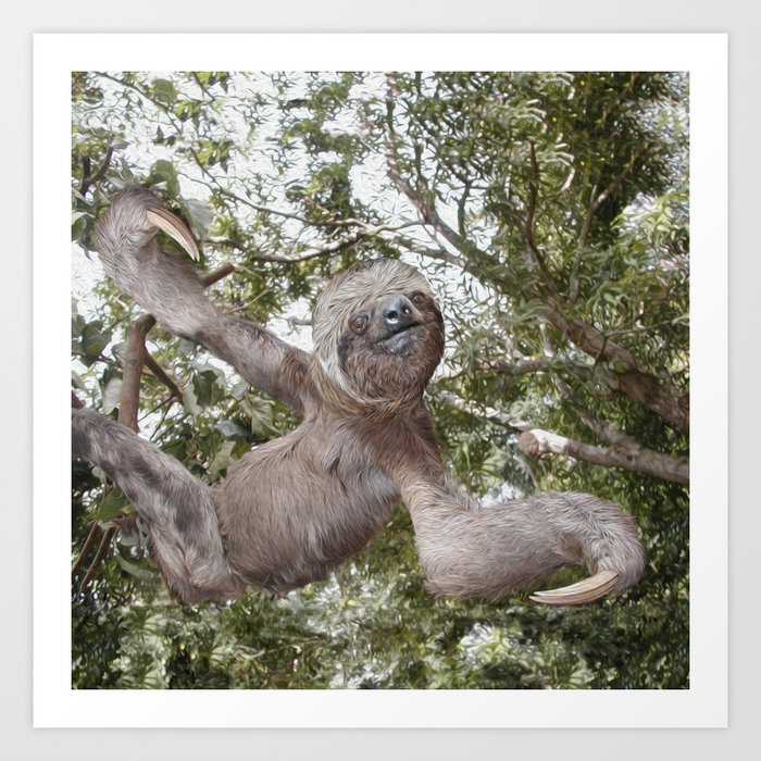 Sloth, A Real Tree Hugger Art Print