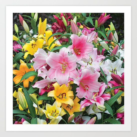 SPRING LILIES FLOWER GARDEN MEDLY Art Print
