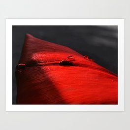 A drop of blood on a red leaf Art Print | Leaf, Spot, Drop, Vane, Sheet, Photo, Pile, Claret, Red, Color 