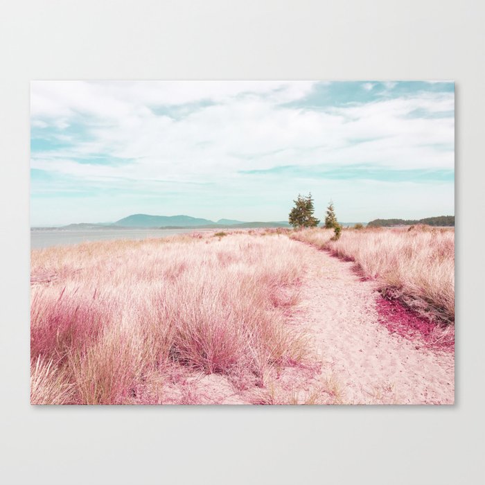 Coastal trail - blush Canvas Print