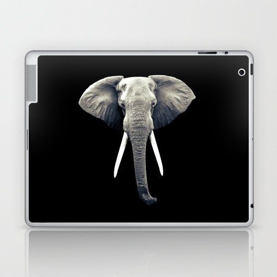 Elephant Portrait Laptop & iPad Skin