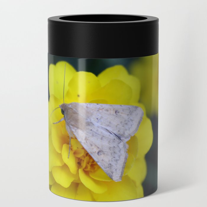Moth on a marigold Can Cooler