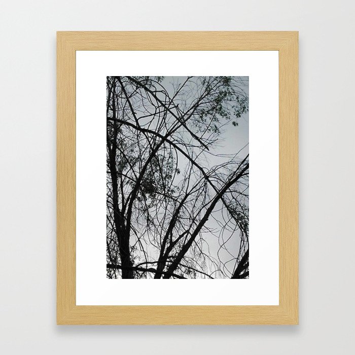 Evening Trees 2 Framed Art Print