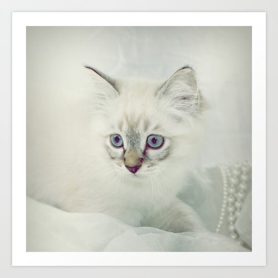 cAT Art Print