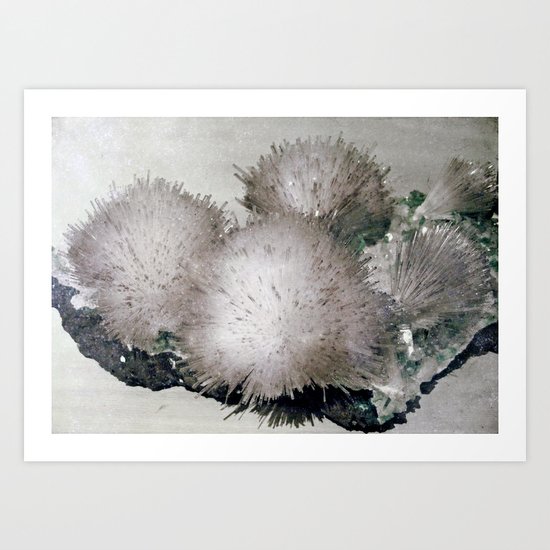 Furry Crystal Art Print