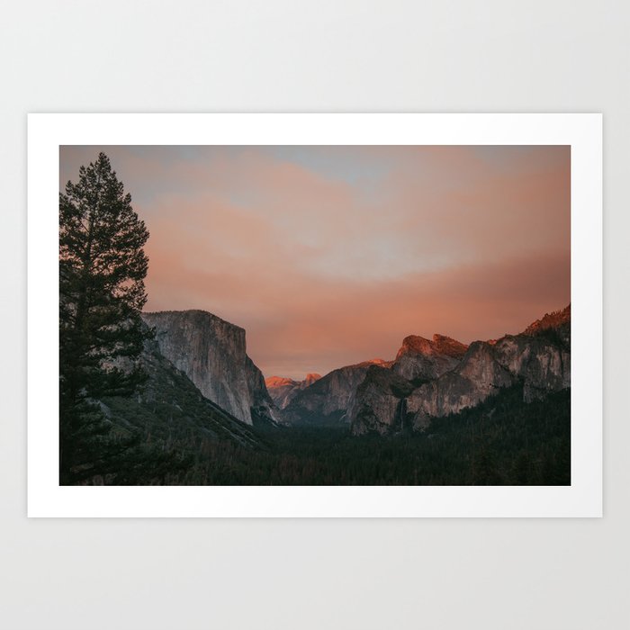 Art Print