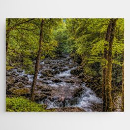 Middle Prong River, Tremont, TN Jigsaw Puzzle
