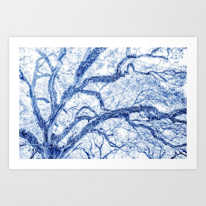 Blue and White Tree Abstract Art Print