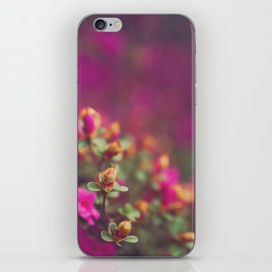 The Pink Orange iPhone & iPod Skin