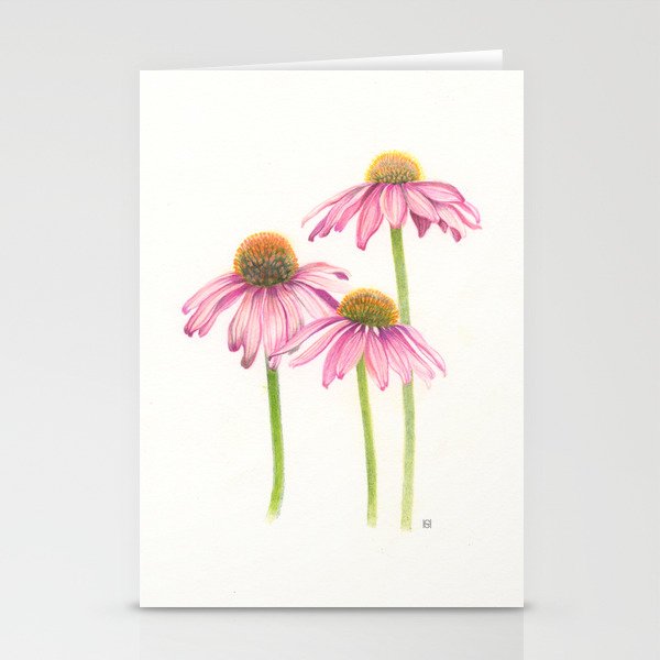 Echinacea Trio Stationery Cards