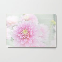 Beauty IV Metal Print | Pink, Pastels, Pinkflowers, Macro, Photo, Digital, Nature, Gardendecor, Color, Flowers 