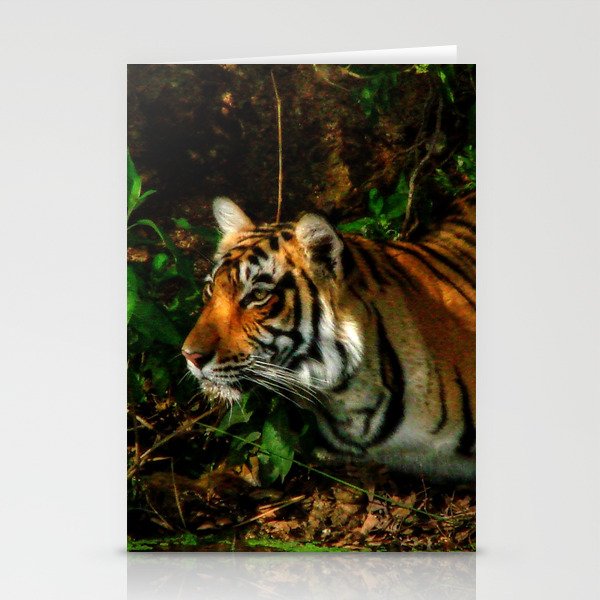 Bengal Beauty Stationery Cards