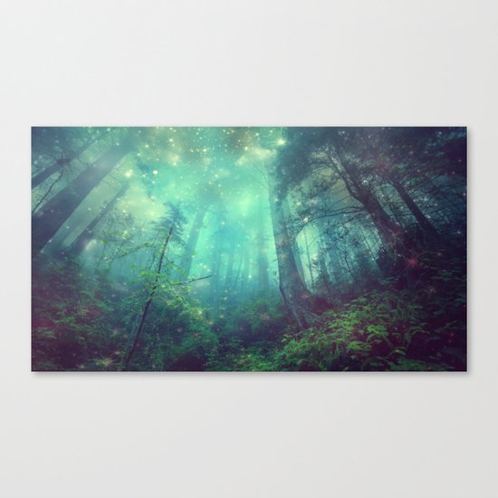 Enchanted Forest II Canvas Print