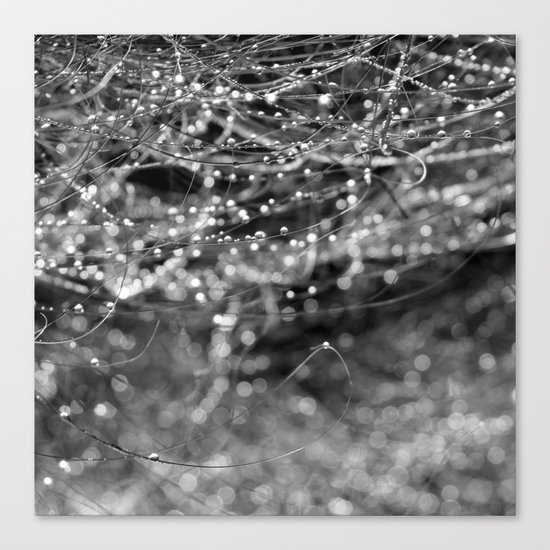 Dewdrops and Bokeh Canvas Print
