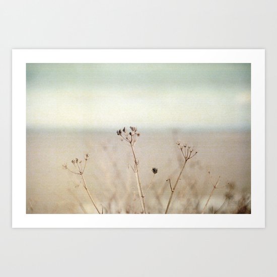 Calm, calm and calm... Art Print