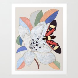 Magnolia flower and insect Art Print