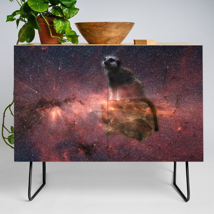 How Meerkats Came To Earth Credenza