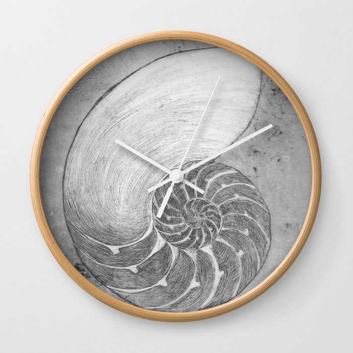 Chambered nautilus in grey Wall Clock
