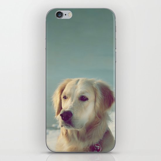 DOG iPhone & iPod Skin