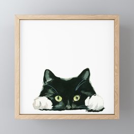 Black cat watching at you Framed Mini Art Print