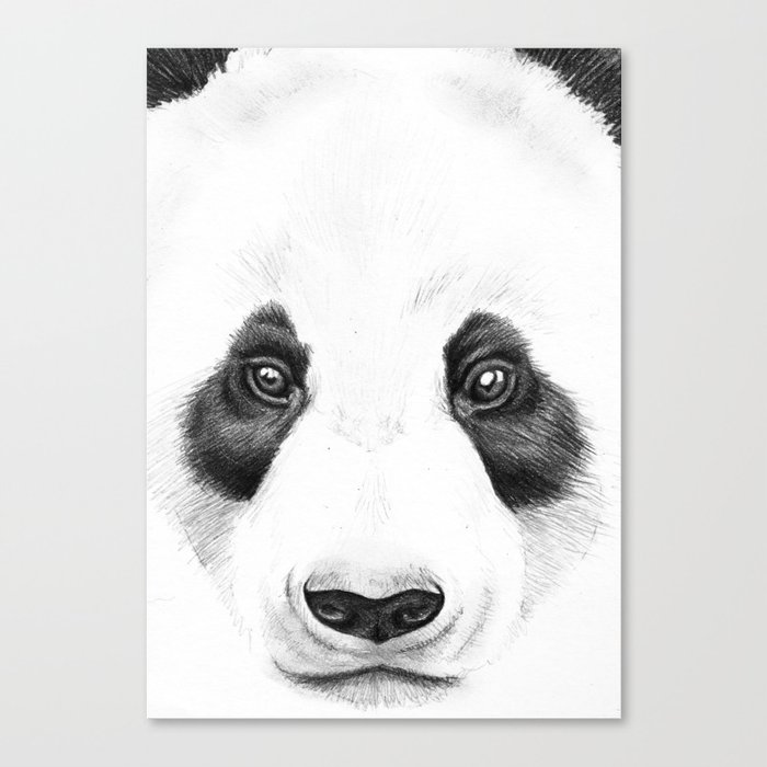 Panda Face Canvas Print