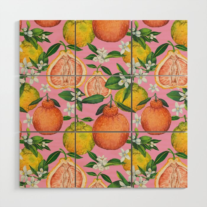 Fresh orange plant florals - pink Wood Wall Art