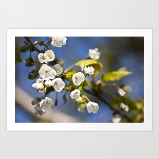 Spring is Near Art Print
