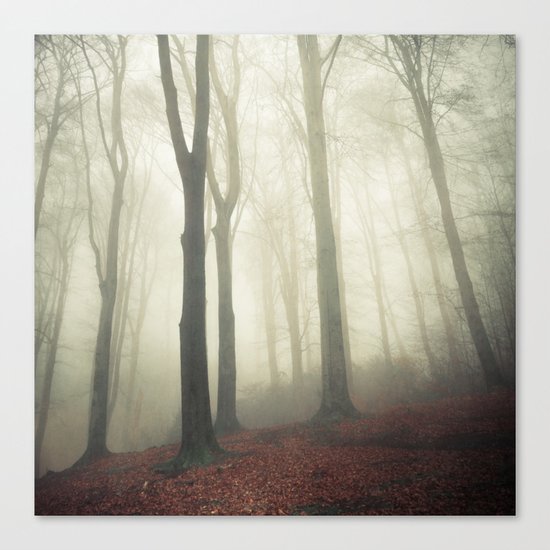 forest in fog Canvas Print
