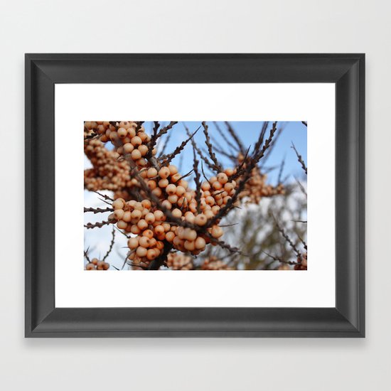 Crammond Framed Art Print