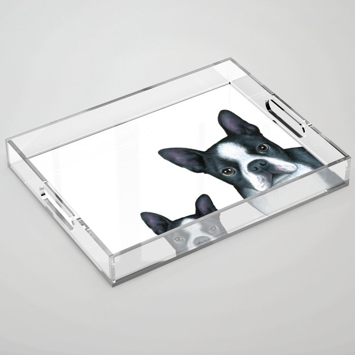 Dog 128 Boston Terrier Dogs black and white Acrylic Tray