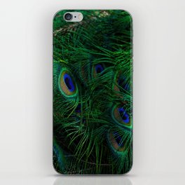 peacock feathers iPhone Skin