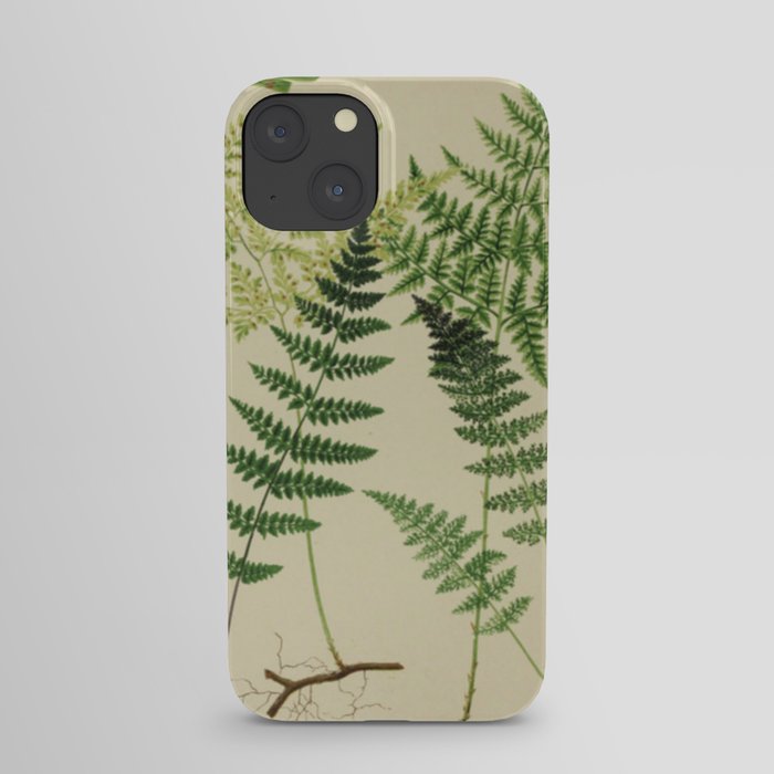 Botanical Ferns iPhone Case