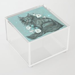 Maine Coon Cat and Moonflowers Acrylic Box