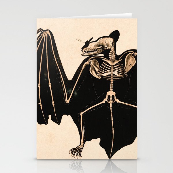 Vintage French zoological board - Bat skeleton Stationery Cards