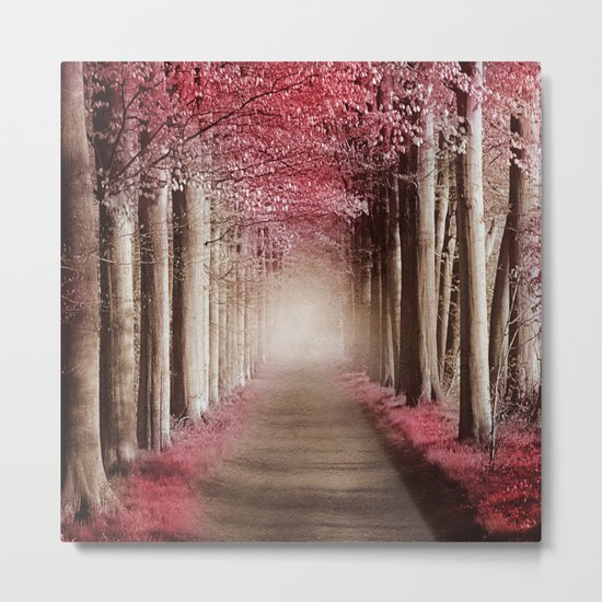 Perfect morning. Metal Print