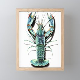 Red Clawed Crayfish Framed Mini Art Print