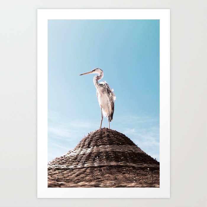 Grey Heron Art Print