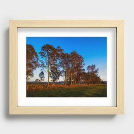 Row of Trees Recessed Framed Print
