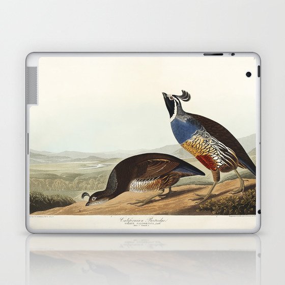 California Partridge from Birds of America (1827) by John James Audubon  Laptop & iPad Skin