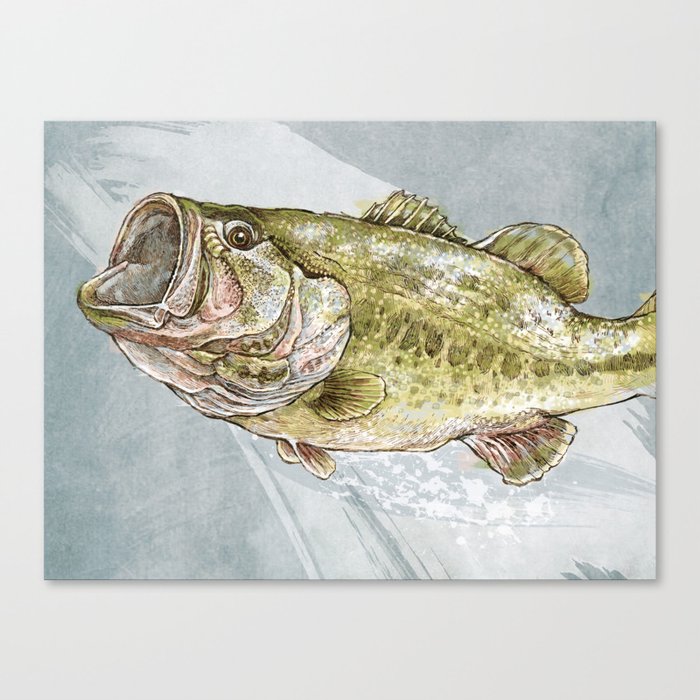 Magnificent Largemouth Bass Canvas Print