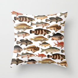 Colourful Fish In White Throw Pillow