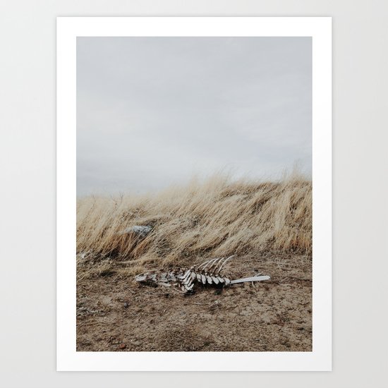 Winded Skeleton Art Print