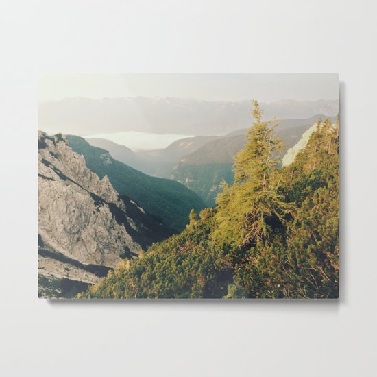 Morning mountain pine Metal Print