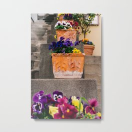 Positano Blooms IX Metal Print | Photo, Digital, Italian, Terracotta, Amalfi, European, Bloom, Flowers, Purple, Spring 