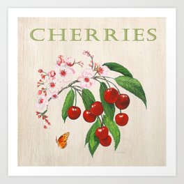 Cherries and their Blossoms Art Print