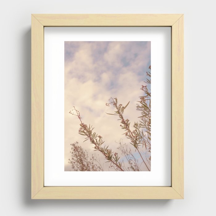 Flower Fields in Pink Sunsets and Cloudy Skies Recessed Framed Print